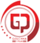 G Services Company Logo