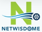 Netwisdom Infotech Company Logo