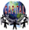 Capital Placements Services Company Logo