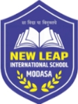 New Leap International School Company Logo