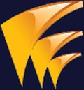 Diligent Global Company Logo