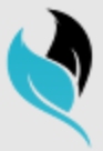 Trendastick Venchures Pvt Ltd Company Logo