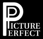 Picture Perfect Models Management Company Logo