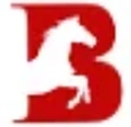 Belpatram Infratech Pvt Ltd Company Logo