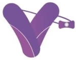 VCatapult Recruitment Solutions Company Logo