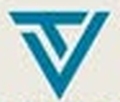 Talent Vibe Consultancy Company Logo