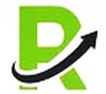 Rank Digiworld Solution Company Logo