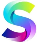 Speed Consulting Company Logo