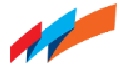 India First Life Insurance Company Logo