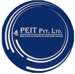 Peit Consultant Company Logo