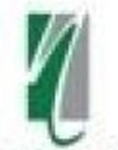 New Magnitude Consultant Company Logo
