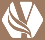 Yexus Spices Company Logo