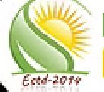 Desun Academy Company Logo