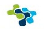 Web Soft IT Solution Company Logo