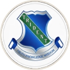 Trident Public School Company Logo