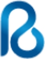 RSB Insights and Analytics Pvt Ltd Company Logo