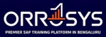 Orrosys Technology Company Logo