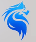 Sports For Life Company Logo