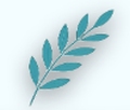 Eirene Careers Company Logo
