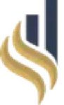 Stradex International Private Limited Company Logo