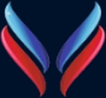 VBR Academy Company Logo