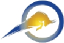The Visa Bull Company Logo
