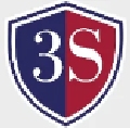 3s Securitas Company Logo