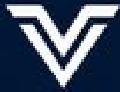 Valent Sports Company Logo