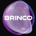 Brinco Hub Pvt Ltd Company Logo
