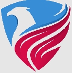 Solitaire Infotech LLC Company Logo