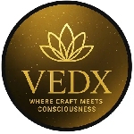 Vedx Company Logo