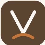 Virtuflex Support Consulting Company Logo