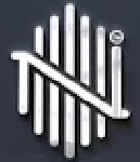 Naman Jewels Company Logo