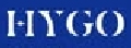 Hygo Healthcare Pvt Ltd Company Logo
