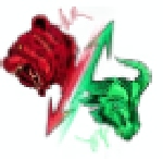 Stockology Company Logo