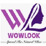 Wowlook Company Logo