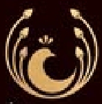Varna The Designer Studio Company Logo