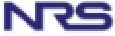 NRS Security Company Logo