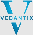 Vedantix Consulting Company Logo