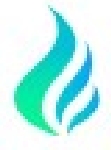Cygnion Energies Pvt Ltd Company Logo