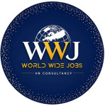 Worldwide Network Services Limited Company Logo