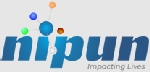Nipun IT Solution Private Limited Company Logo
