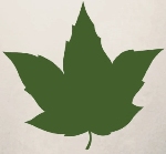 The Venue Veda (Vibrant Greens) Company Logo