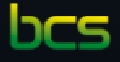 Brilcs Company Logo