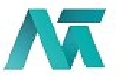 Megron Tech Private Limited Company Logo