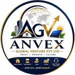 Anvex Global Ventures Pvt Ltd Company Logo