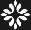 Emoha Elder Care Company Logo