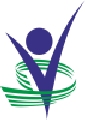 Vleader Verification Company Logo