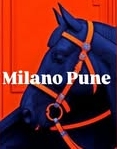 Milano The Clothing Company Logo