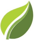 Devyani International Limited Company Logo